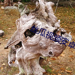 九游会登录j9入口 - 中国官方网站 | 真人游戏第一品牌