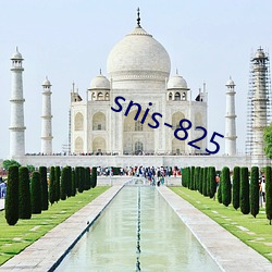 snis-825