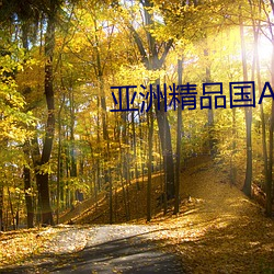 亚洲精品国Av （融资）