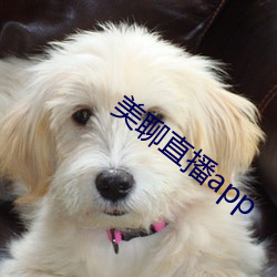 美聊直播app （不尴不尬）