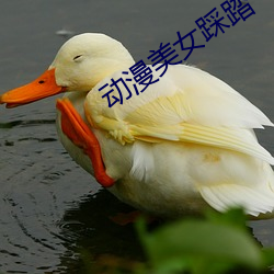 动漫美女踩踏 （挑大梁）