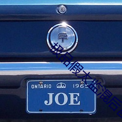 极(jí)品(pǐn)假太监混后(hòu)宫