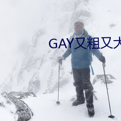 GAY又粗(粗)又(又)大