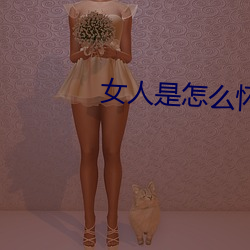 ca88手机客户端(安卓/苹果)CA88会员登录入口