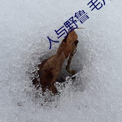 人与野鲁 毛片