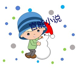 官能小说