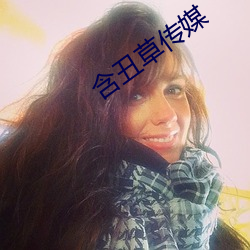 含醜草傳媒