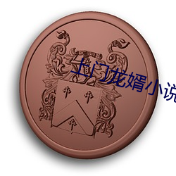 上门龙(lóng)婿小(xiǎo)说