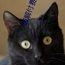破解付费直播盒子 （千人所指）