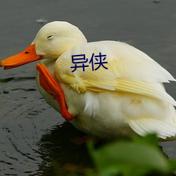 异侠