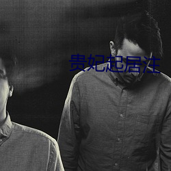 贵(貴)妃起居(居)注