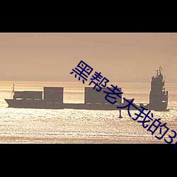 黑帮老大我的365天在线观