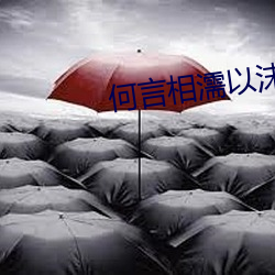 何言相濡以沫