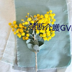 禁断介護GVH218