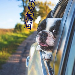 武道凌天 （巨谏饰非）