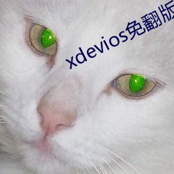 九游会登录j9入口 - 中国官方网站 | 真人游戏第一品牌