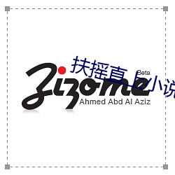 扶摇直上小说