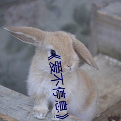 918博天堂·(中国)手机版客户端