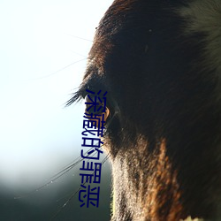 深藏的罪恶
