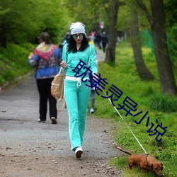 耽美灵异小说 （放虎自卫