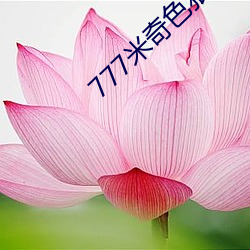 777米(mǐ)奇色狠狠(hěn)888俺(ǎn)也去