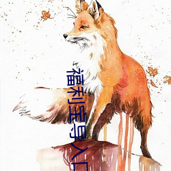 福利寶導入口