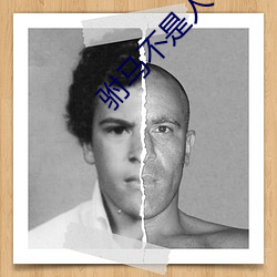 驸馬不是人