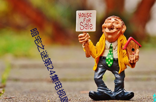 暗宅之谜第24集电视剧全集免费观看 妇幼）
