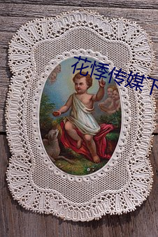 花悸傳媒下載