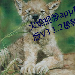 火焰视频app最新版下载2023免费版V3.1.2最新官方安卓免费版