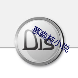 慕南枝小说