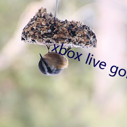xbox live gold
