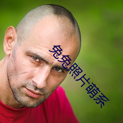 兔兔照片(片)萌系