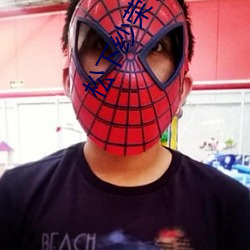 松下(xi��)纱荣子 视频一(yī)区