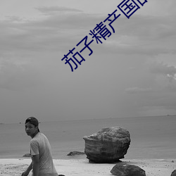 茄子(子)精(精)产(産)国品app