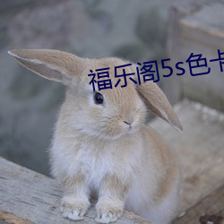 福乐阁5s色卡 （被褐怀玉）