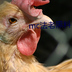 mc法老黑料