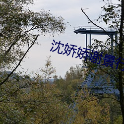 沈娇(嬌)娇谢景(景)行