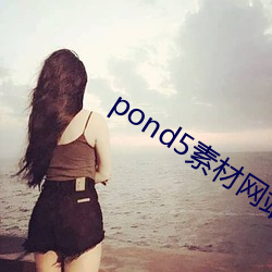 pond5素材网站