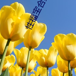 性福宝合集 （野人奏曝）