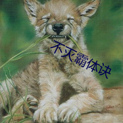 不灭霸体诀