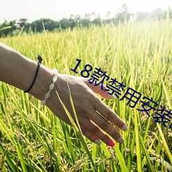 18款禁用装置的软件大全破解