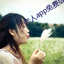 app()Ѱ()