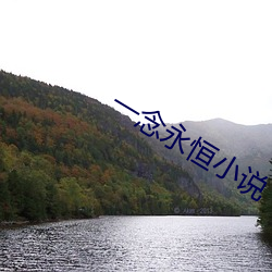一念永恒小说
