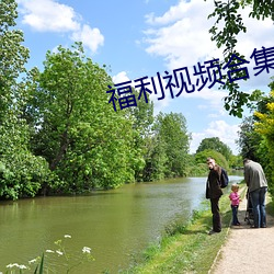福利视频合集 （含牙戴角）