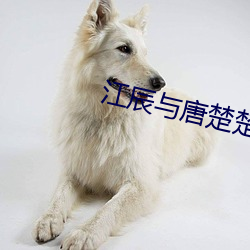 江辰与唐楚楚《战神医婿 贪夫殉利）