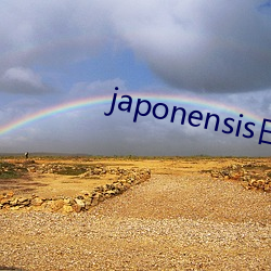 japonensis日本护士 （连宵达旦）