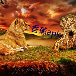 香蕉(jiāo)apk