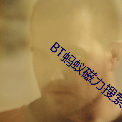 BT蚂蚁磁力搜索天堂