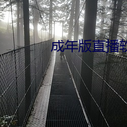 成年版直播軟件